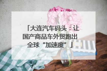 大连汽车码头：让国产商品车外贸跑出全球“加速度”