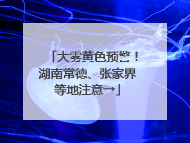 大雾黄色预警！湖南常德、张家界等地注意→