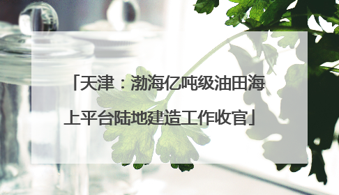 天津：渤海亿吨级油田海上平台陆地建造工作收官