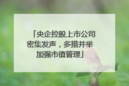 央企控股上市公司密集发声，多措并举加强市值管理