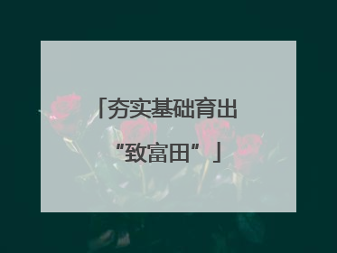 夯实基础育出“致富田”