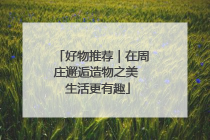 好物推荐｜在周庄邂逅造物之美 生活更有趣