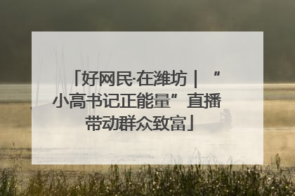 好网民·在潍坊｜“小高书记正能量”直播 带动群众致富
