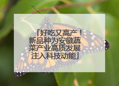 好吃又高产！新品种为安徽蔬菜产业高质发展注入科技动能