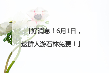 好消息！6月1日，这群人游石林免费！