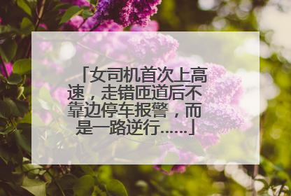 女司机首次上高速，走错匝道后不靠边停车报警，而是一路逆行……