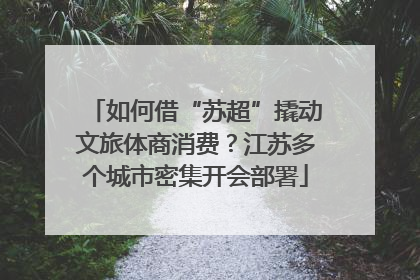 如何借“苏超”撬动文旅体商消费？江苏多个城市密集开会部署