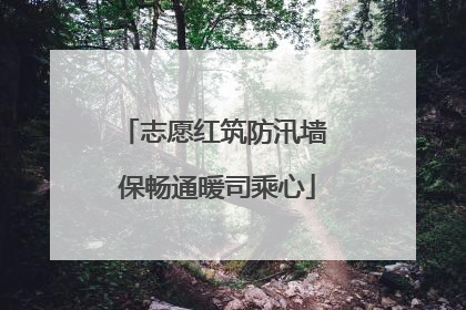 志愿红筑防汛墙 保畅通暖司乘心