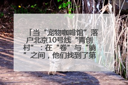 当“宠物咖啡馆”落户北京10号线“青创村”：在“卷”与“躺”之间，他们找到了第三种生活公式