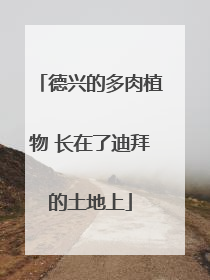 德兴的多肉植物 长在了迪拜的土地上