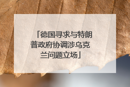 德国寻求与特朗普政府协调涉乌克兰问题立场