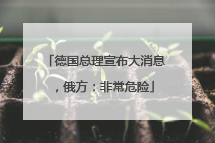 德国总理宣布大消息，俄方：非常危险