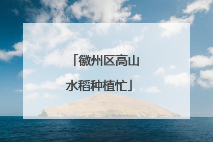 徽州区高山水稻种植忙