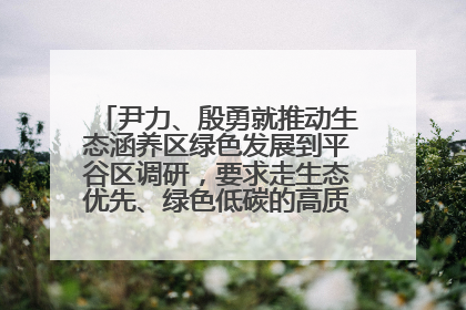 尹力、殷勇就推动生态涵养区绿色发展到平谷区调研，要求走生态优先、绿色低碳的高质量发展之路
