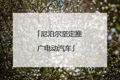 尼泊尔坚定推广电动汽车