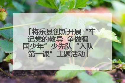 将乐县创新开展“牢记党的教导  争做强国少年”少先队“入队第一课”主题活动