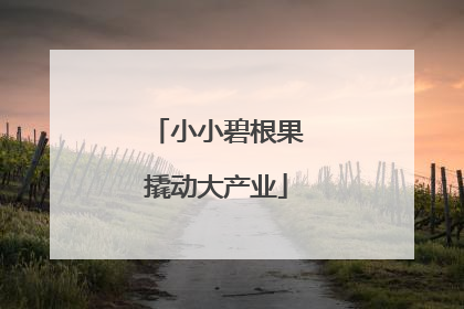 小小碧根果撬动大产业