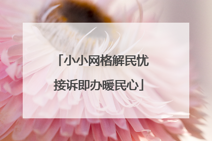 小小网格解民忧 接诉即办暖民心