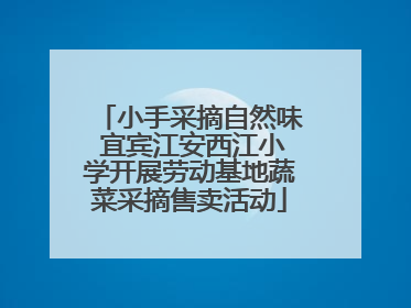 小手采摘自然味 宜宾江安西江小学开展劳动基地蔬菜采摘售卖活动