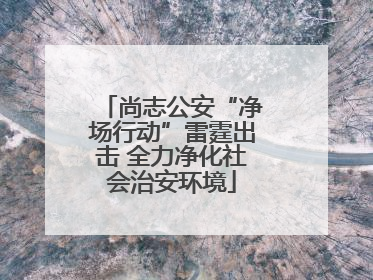 尚志公安“净场行动”雷霆出击 全力净化社会治安环境