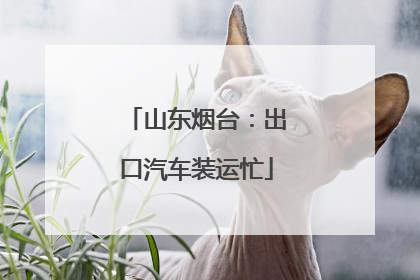 山东烟台：出口汽车装运忙