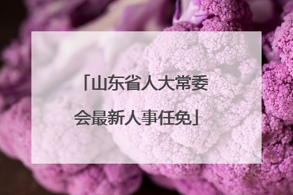 山东省人大常委会最新人事任免