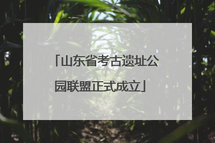 山东省考古遗址公园联盟正式成立