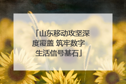 山东移动攻坚深度覆盖 筑牢数字生活信号基石
