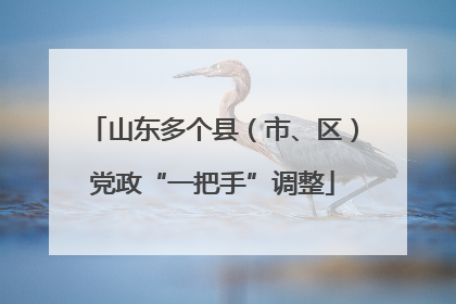 山东多个县（市、区）党政“一把手”调整
