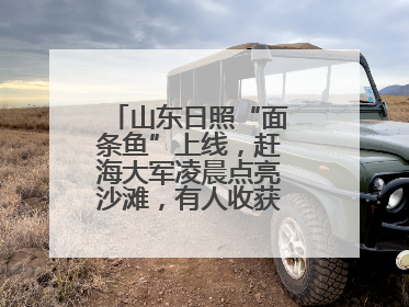山东日照“面条鱼”上线，赶海大军凌晨点亮沙滩，有人收获满满一桶鱼