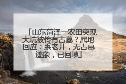 山东菏泽一农田突现大坑被传有古墓？属地回应：系老井，无古墓迹象，已回填