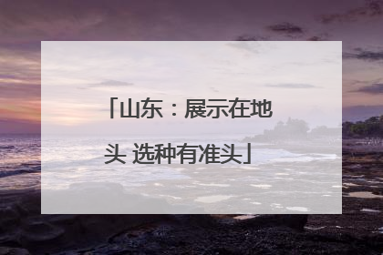 山东：展示在地头 选种有准头