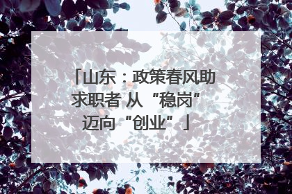 山东：政策春风助求职者 从“稳岗”迈向“创业”