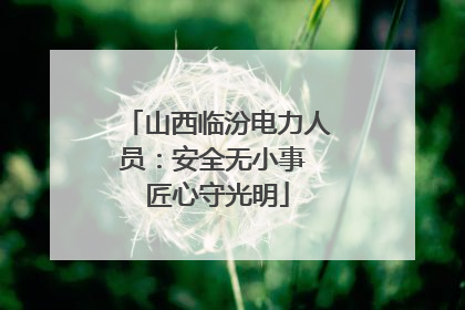 山西临汾电力人员：安全无小事 匠心守光明