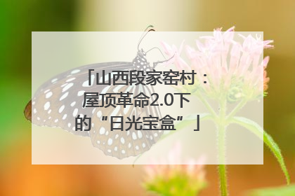 山西段家窑村：屋顶革命2.0下的“日光宝盒”