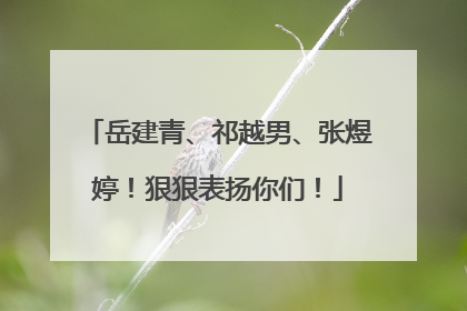 岳建青、祁越男、张煜婷！狠狠表扬你们！
