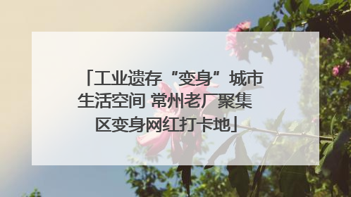 工业遗存“变身”城市生活空间 常州老厂聚集区变身网红打卡地