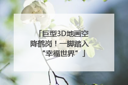 巨型3D地画空降鹤岗！一脚踏入“幸福世界”
