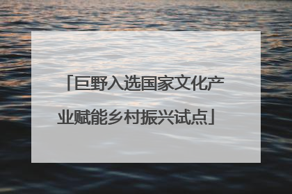 巨野入选国家文化产业赋能乡村振兴试点