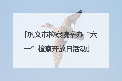 巩义市检察院举办“六一”检察开放日活动