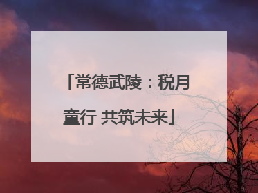 常德武陵：税月童行 共筑未来