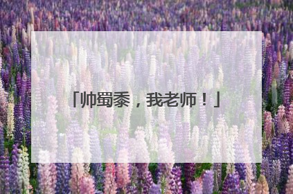 帅蜀黍，我老师！
