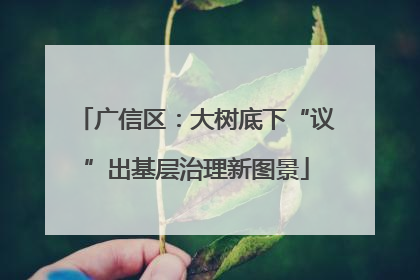 广信区：大树底下“议”出基层治理新图景