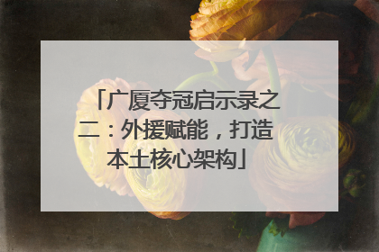 广厦夺冠启示录之二：外援赋能，打造本土核心架构