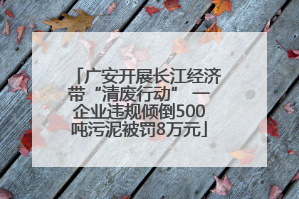广安开展长江经济带“清废行动” 一企业违规倾倒500吨污泥被罚8万元