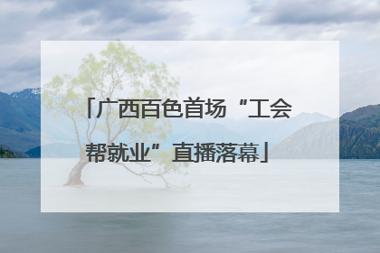 广西百色首场“工会帮就业”直播落幕
