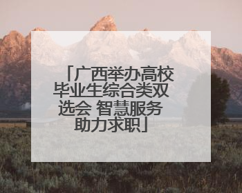 广西举办高校毕业生综合类双选会 智慧服务助力求职