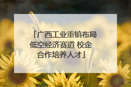 广西工业重镇布局低空经济赛道 校企合作培养人才