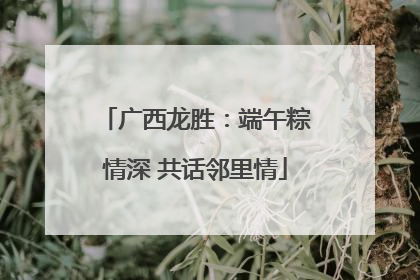 广西龙胜：端午粽情深 共话邻里情