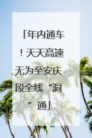 年内通车！天天高速无为至安庆段全线“洞”通
